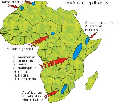 africa1.jpg (33332 bytes)