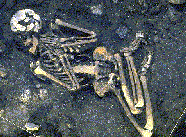 cem_Franchthi2.gif (15018 bytes)