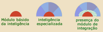 composição da inteligência